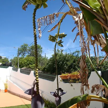 Cerro Konukevi Albufeira