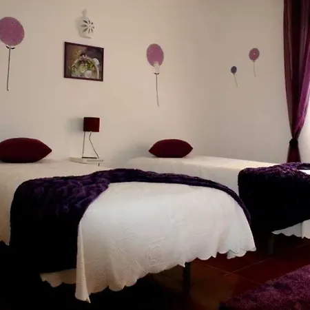 Cerro בית הארחה 2*