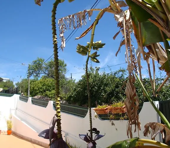 Cerro Pensionat Albufeira